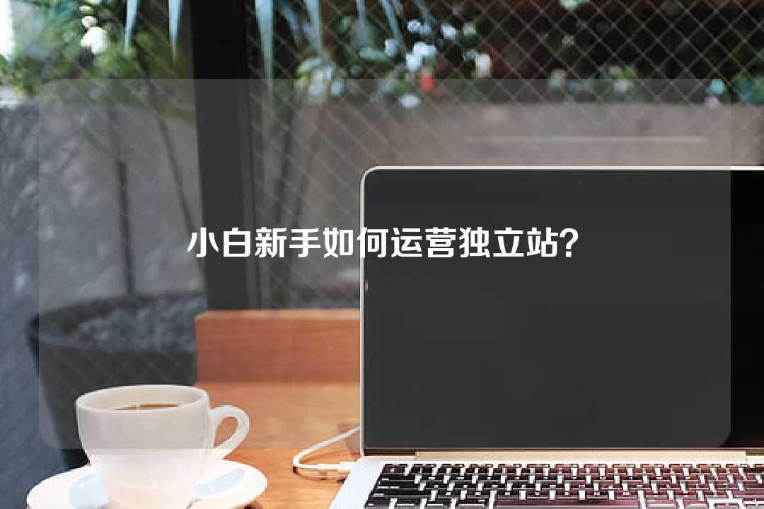 小白新手如何运营独立站?