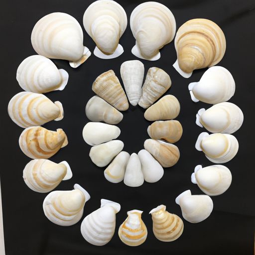 网站运营的发展方向是什么?