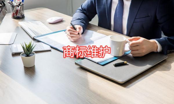 商标维护 商标维护